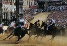 Palio di Siena